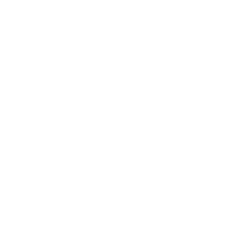 Boss Instruments logo