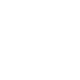 Cae Medical logo