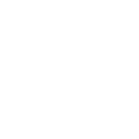 Neurovision logo