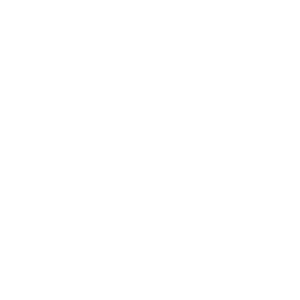 Smith + Nephew logo