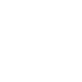 Steris logo