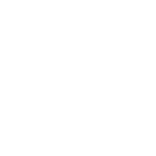 PFM medical logo